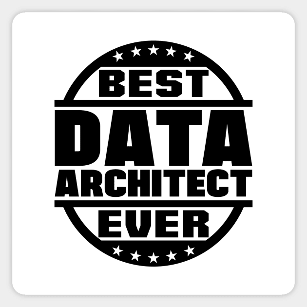 Best Data Architect Ever Sticker by colorsplash